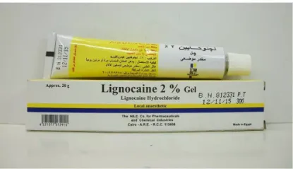 Picture of LIGNOCAINE 2% TOPICAL GEL 20 GM