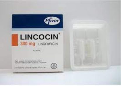 Picture of LINCOCIN 300MG/ML I.M./I.V. 3 AMP