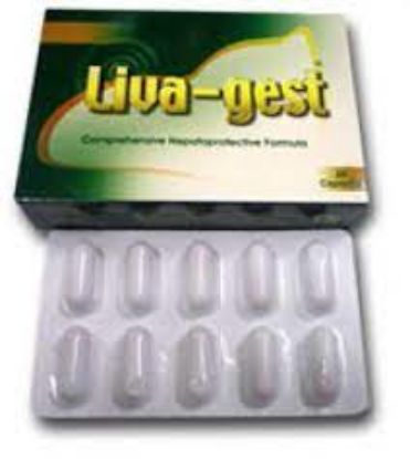 Picture of LIVA-GEST 20 CAP