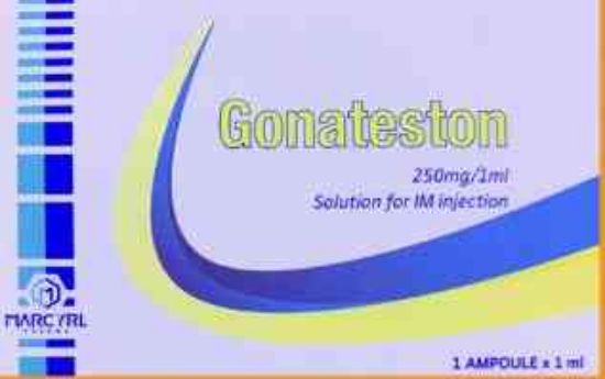 Picture of GONATESTON 250MG/ML I.M AMP